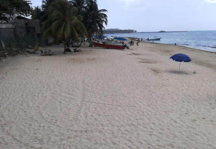 Arribo de sargazo disminuye en Playa del Carmen