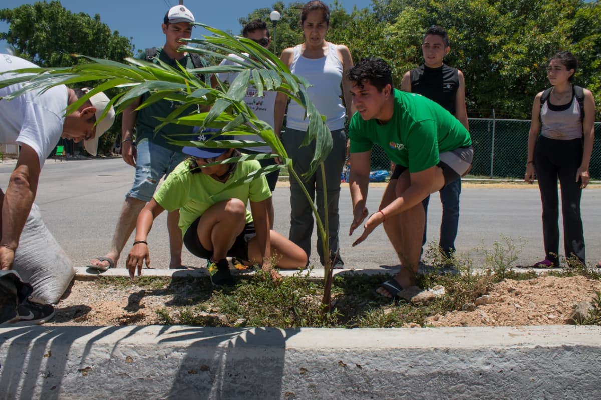 Jóvenes de Solidaridad reforestan vialidad con motivo del Día Mundial del Medio Ambiente