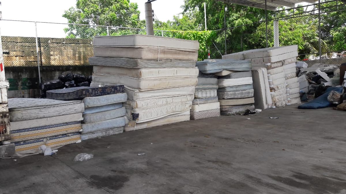 Campaña de descacharrización en Cozumel rescata cientos de colchones para reciclaje