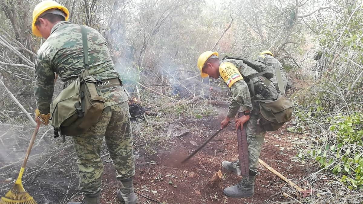 Controlan en 90% incendio en Sian Ka'an