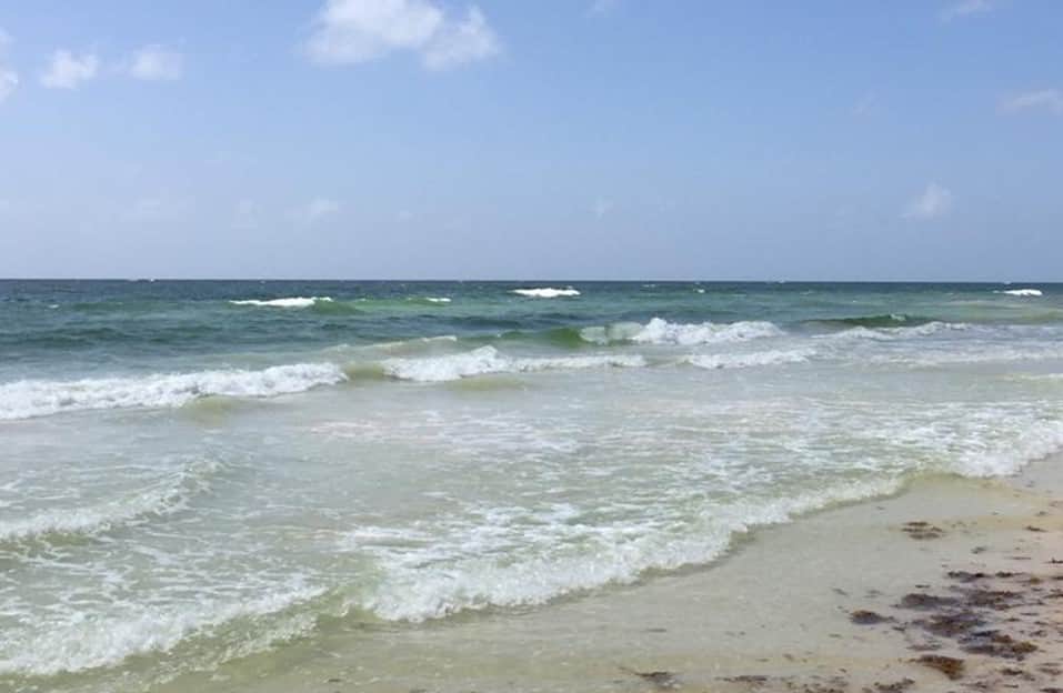 Sargazo en Tulum no es siempre, y cuando llega, se atiende