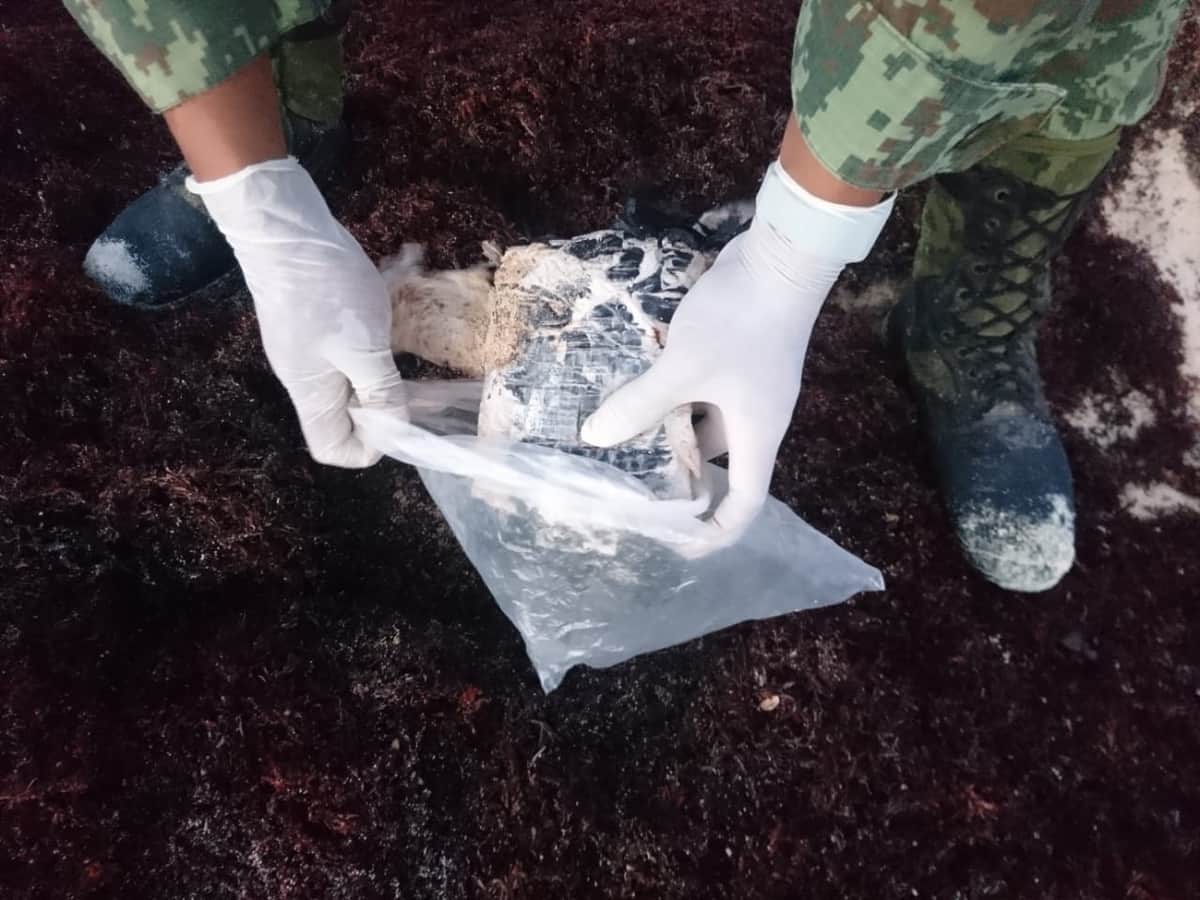 Recala "tabique" de droga en las costas de Cozumel