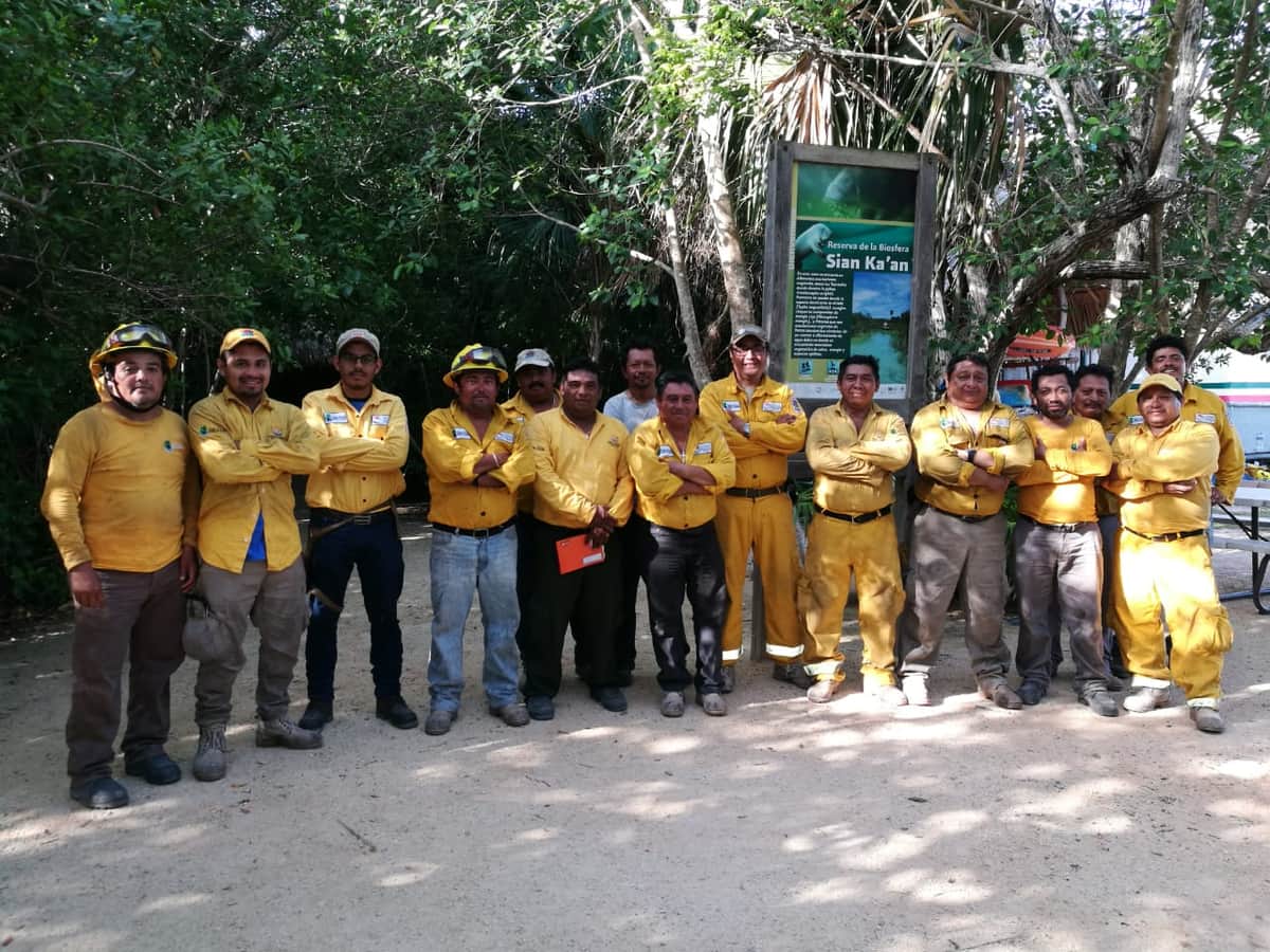 Controlan en 70 por ciento incendio en Sian Ka’an