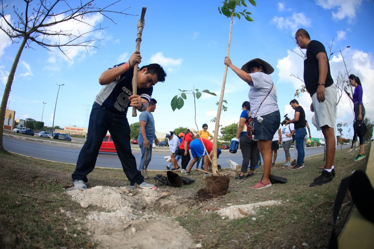 Instituto de la Juventud planta más de 100 árboles en Solidaridad