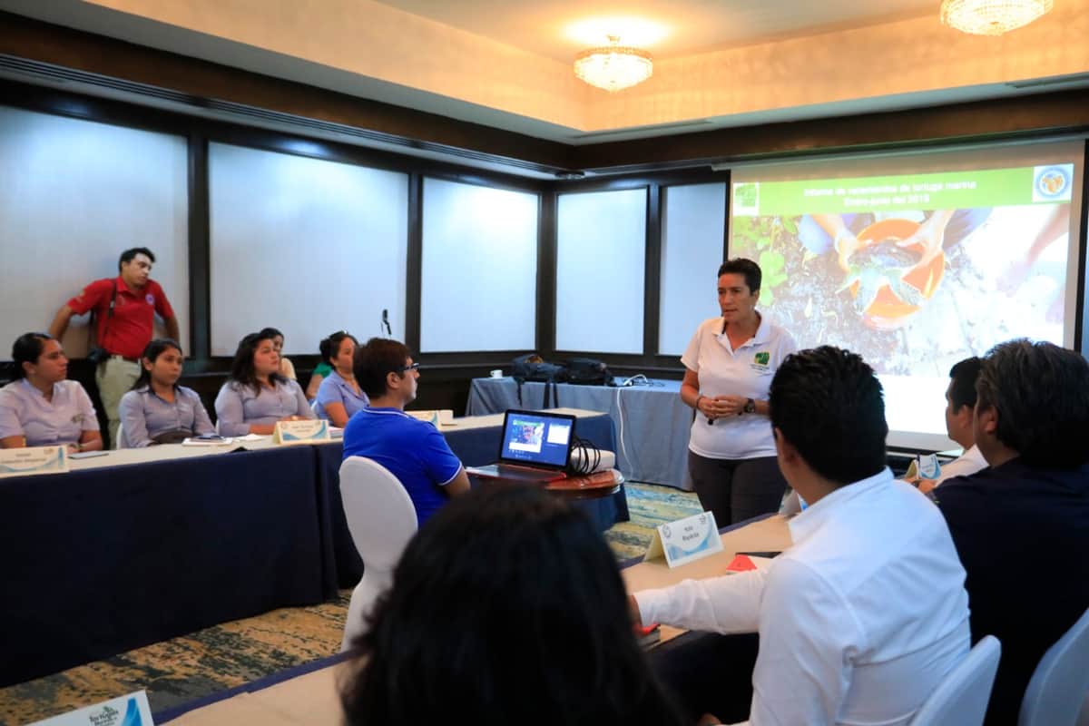 Acuerdan mecanismos para proteger a la tortuga marina en Solidaridad