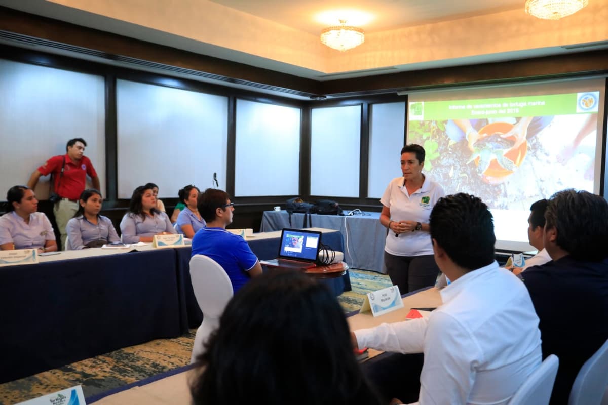 Acuerdan mecanismos para proteger a la tortuga marina en Solidaridad