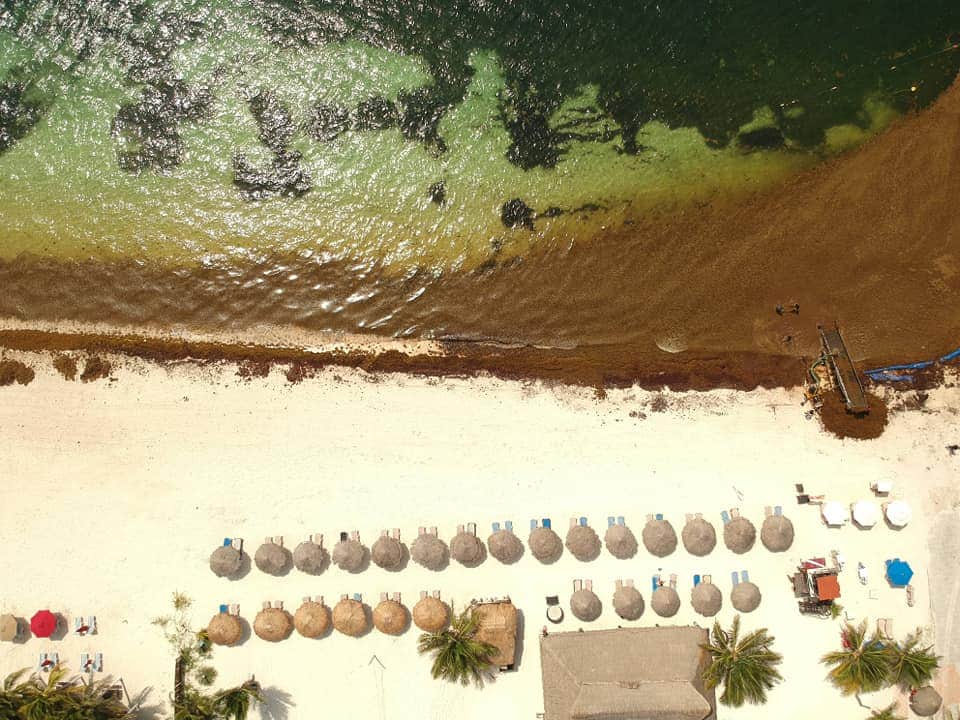 Hoteleros podrían compensar a los huéspedes afectados por sargazo