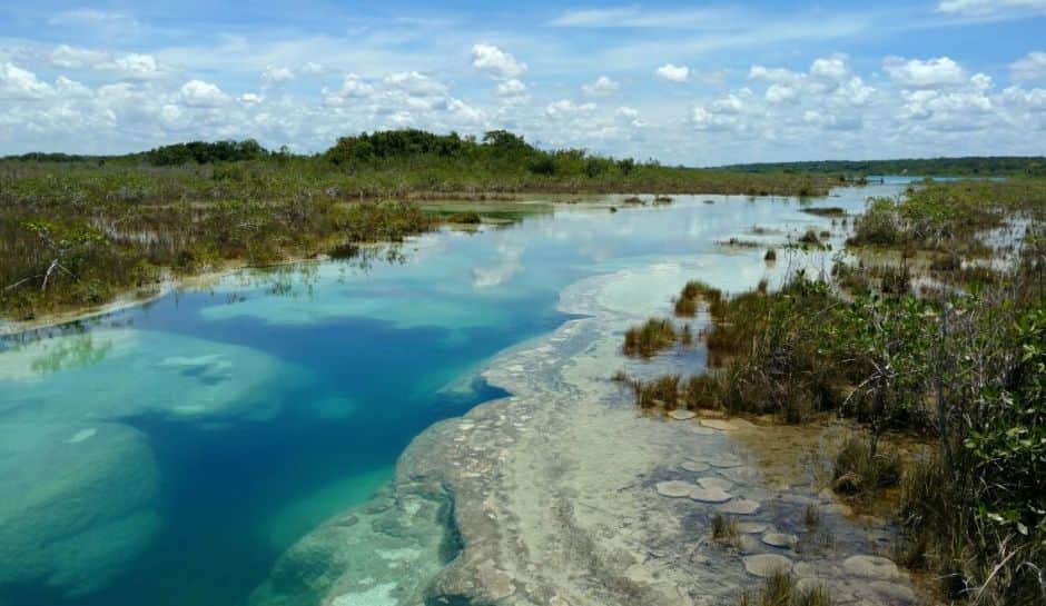 Intentaron crear "elixir rejuvenecedor” con lodo de la laguna Bacalar