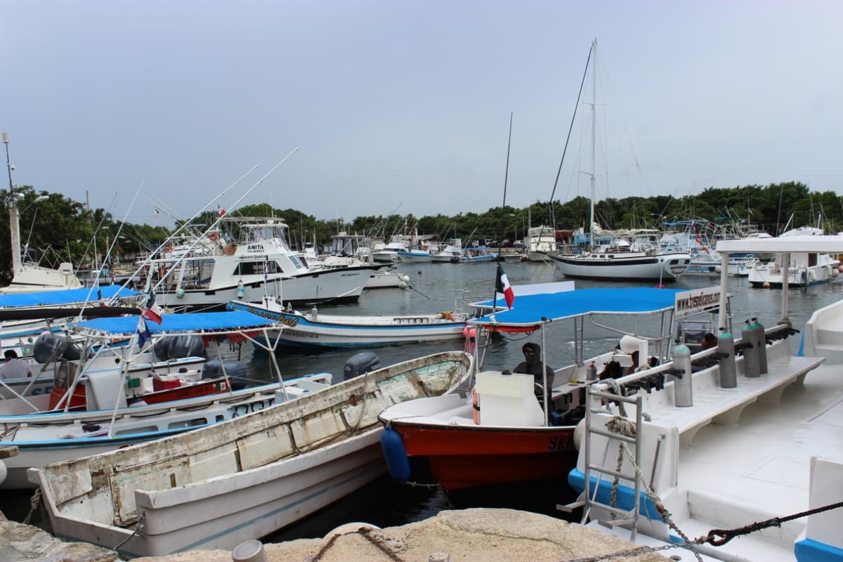 Trabajadores náuticos de Cozumel, inconformes por trámite de libretas del mar