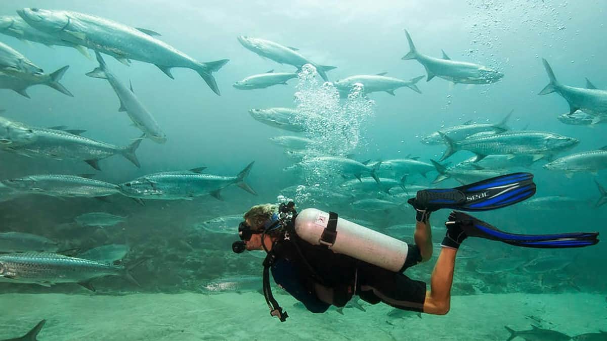 Sacia tu sed de aventura con estos increíbles lugares que Quintana Roo tiene para ti