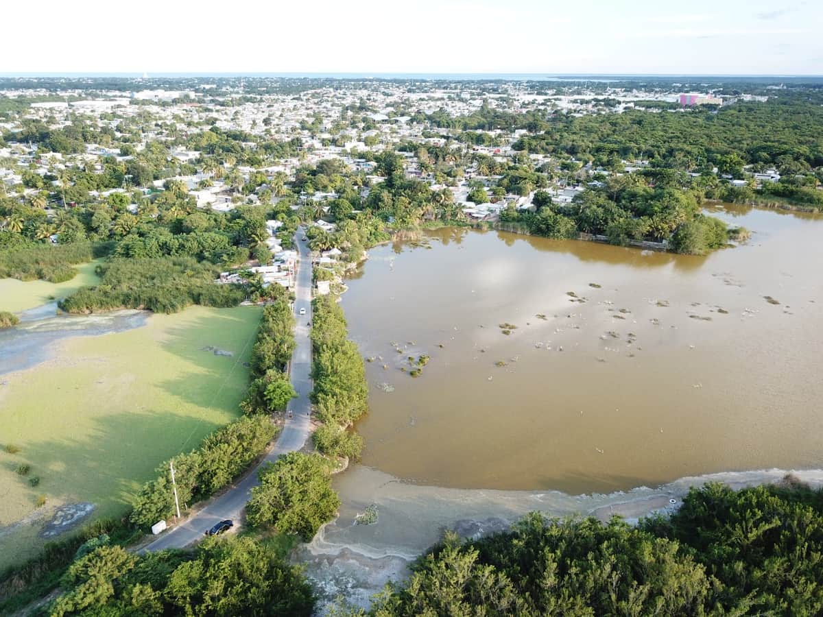 Peligra sabana de Chetumal por contaminación y especies invasoras