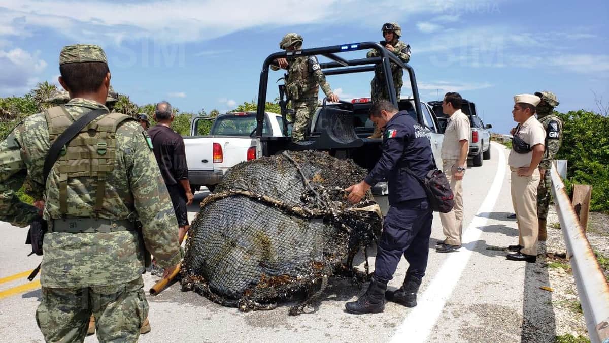 Descubren mega cargamento de cocaína escondido bajo una bolla en Cozumel