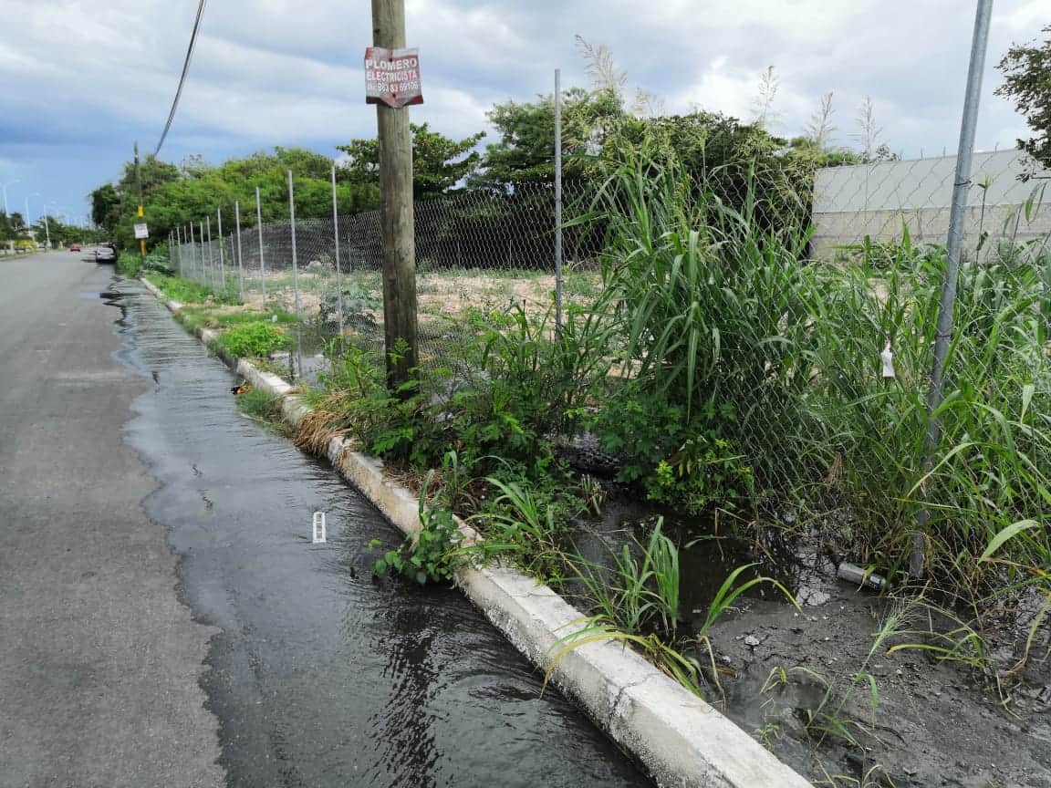 Calles de Chetumal se llenan de aguas negras