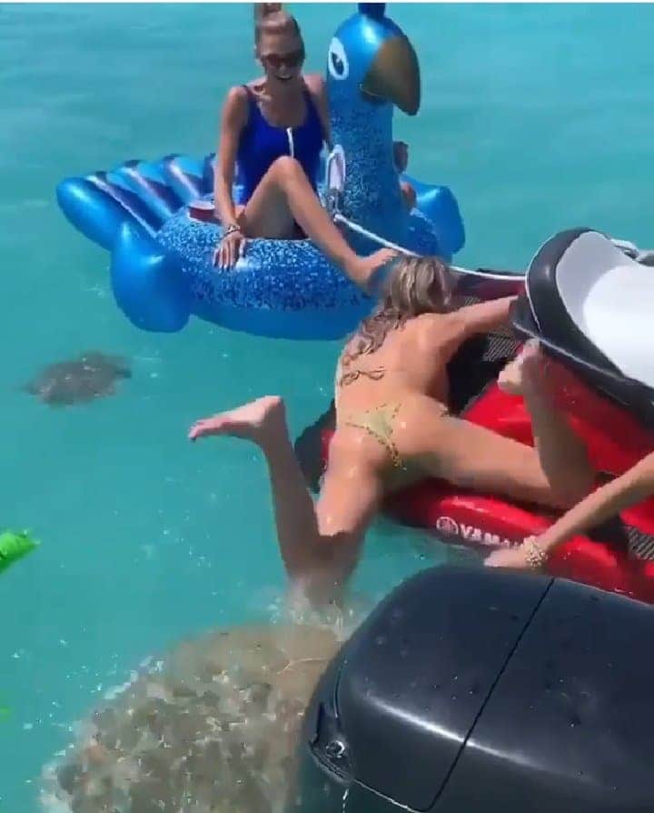 Mujer es agredida por una tortuga