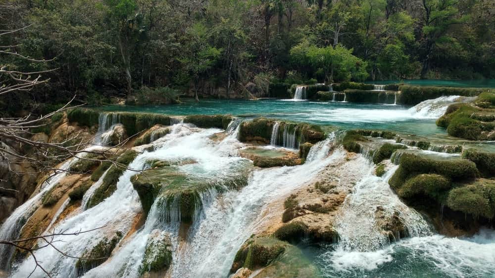 Seis destinos fascinantes para hacer ecoturismo en México