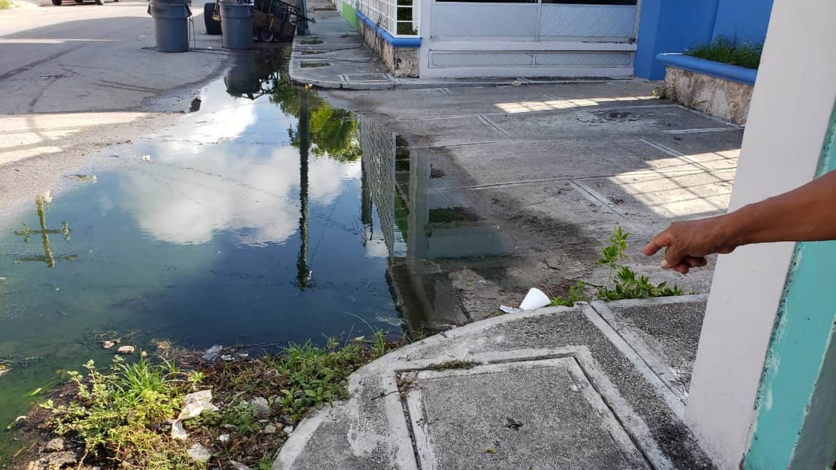 Brote de aguas negras causa problemas de salud en Cozumel
