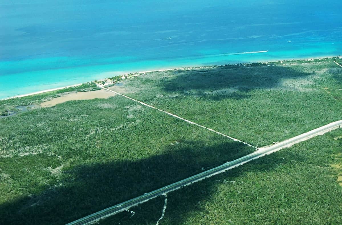 Inician las "vacaciones" para los arrecifes de Cozumel