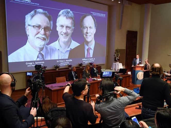 Dan Premio Nobel de Medicina a investigación celular