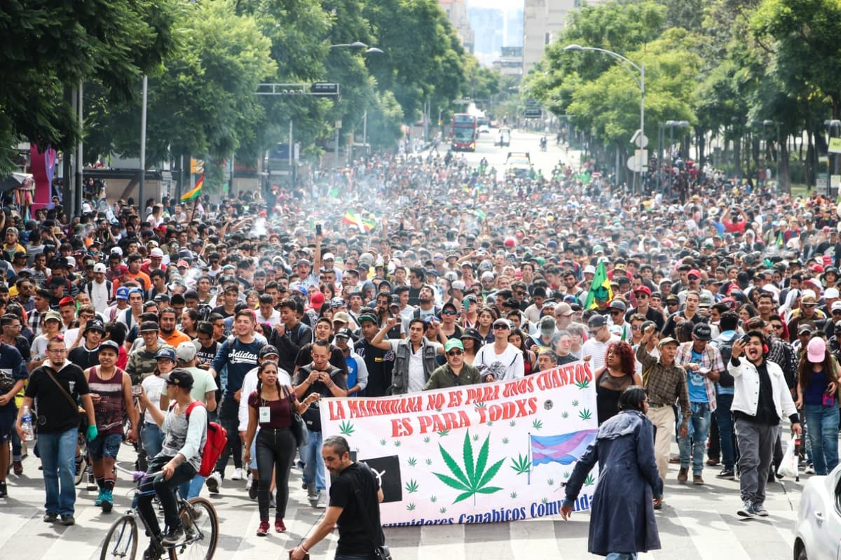 Jóvenes marcharon para exigir la legalización de la Marihuana