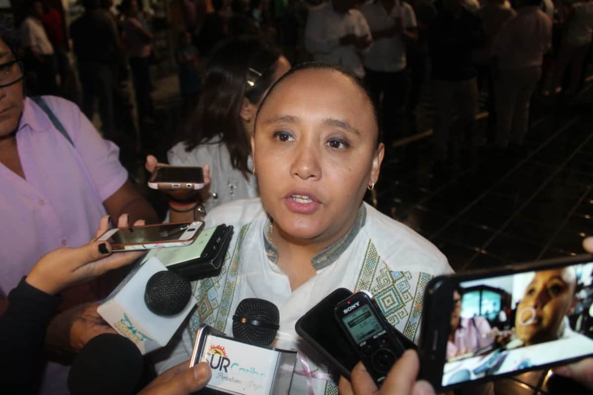 Para equilibrar el desarrollo, se debe apostar a nueva inversión y que esta se quede en el sur: Cristina Torres