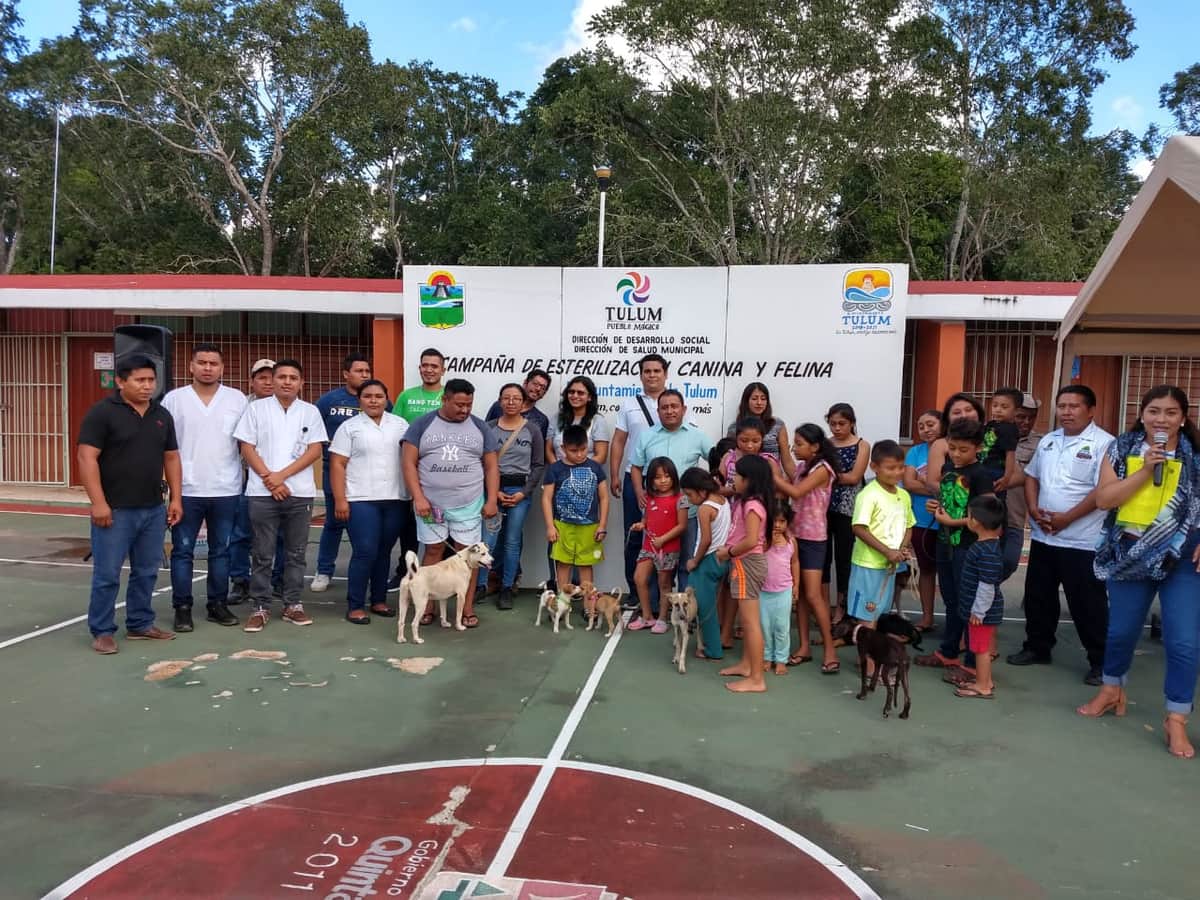 Con recursos ahorrados, inicia programa de esterilización de perros y gatos en Tulum