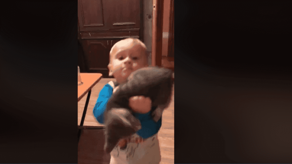 Épica pelea entre gatito y bebé se hace viral