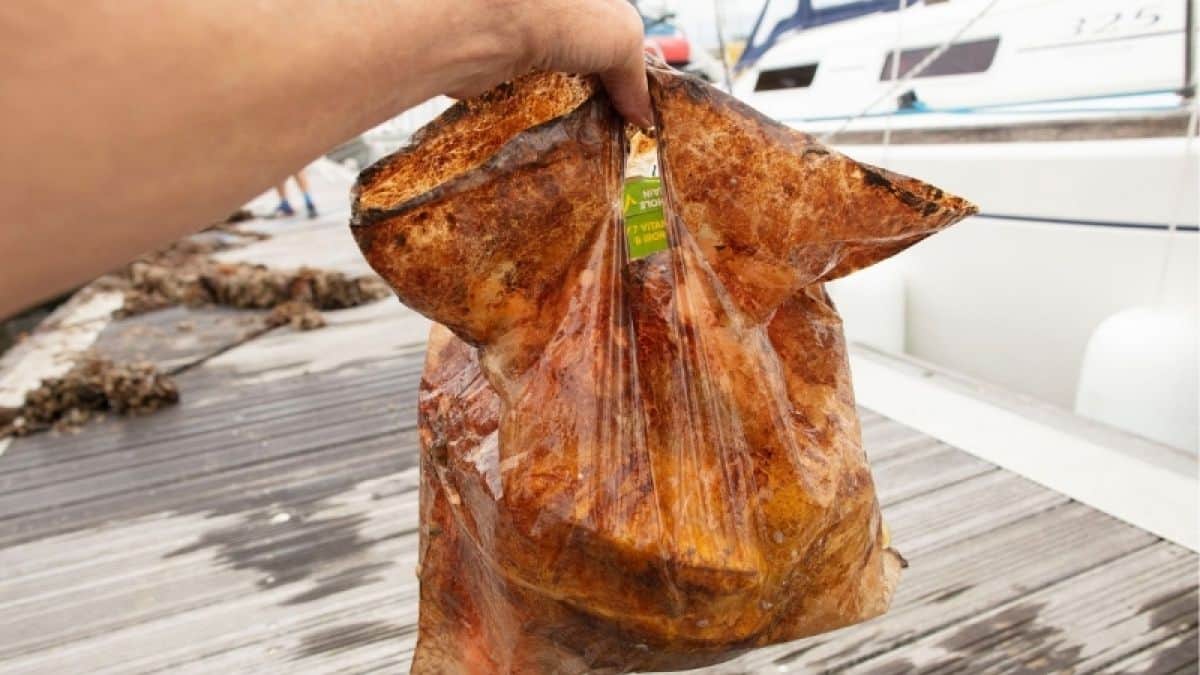 Denuncian que bolsas biodegradables no son tales