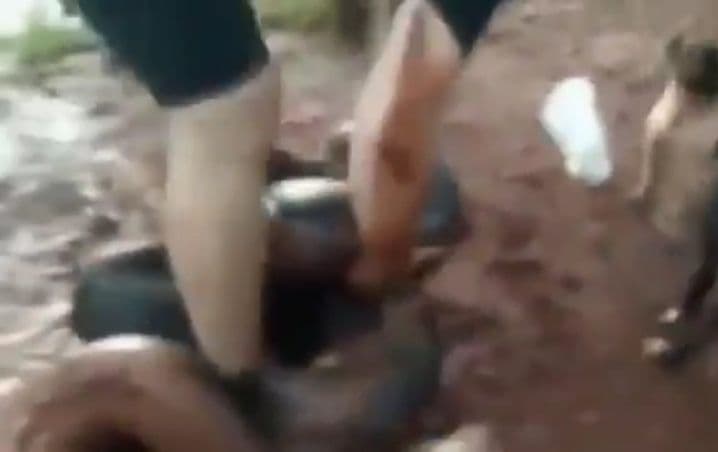 Tres ciclistas luchan contra una anaconda que intenta comerse a su perro