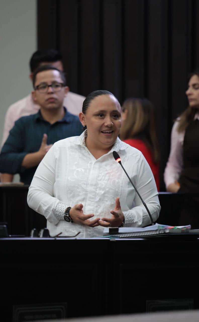 Rechaza Cristina Torres Ley de Ingresos de Solidaridad