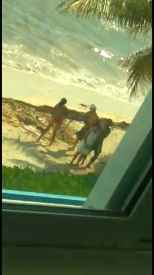 Asesinan animales para realizan ritual satánico en Puerto Morelos