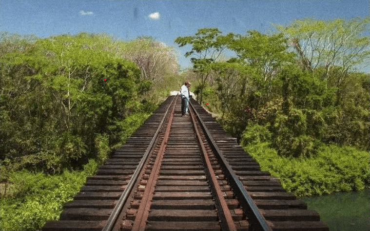 Comunidades indígenas ganan amparo contra el Tren Maya