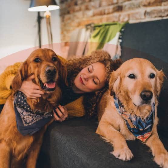 Buscan un cuidador de perritos que quiera ganar ¡70 mil pesos mensuales!