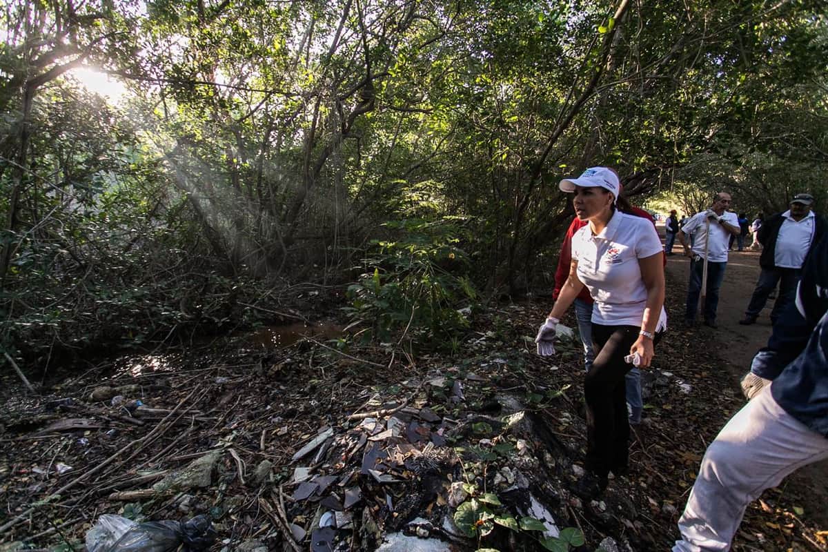 Mara Lezama inicia limpieza del acceso a la Laguna Chacmuchuch en Cancún