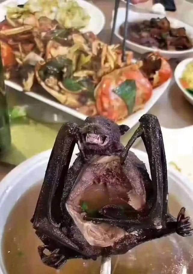 Sopa de murciélago: ¿causante del coronavirus en China?