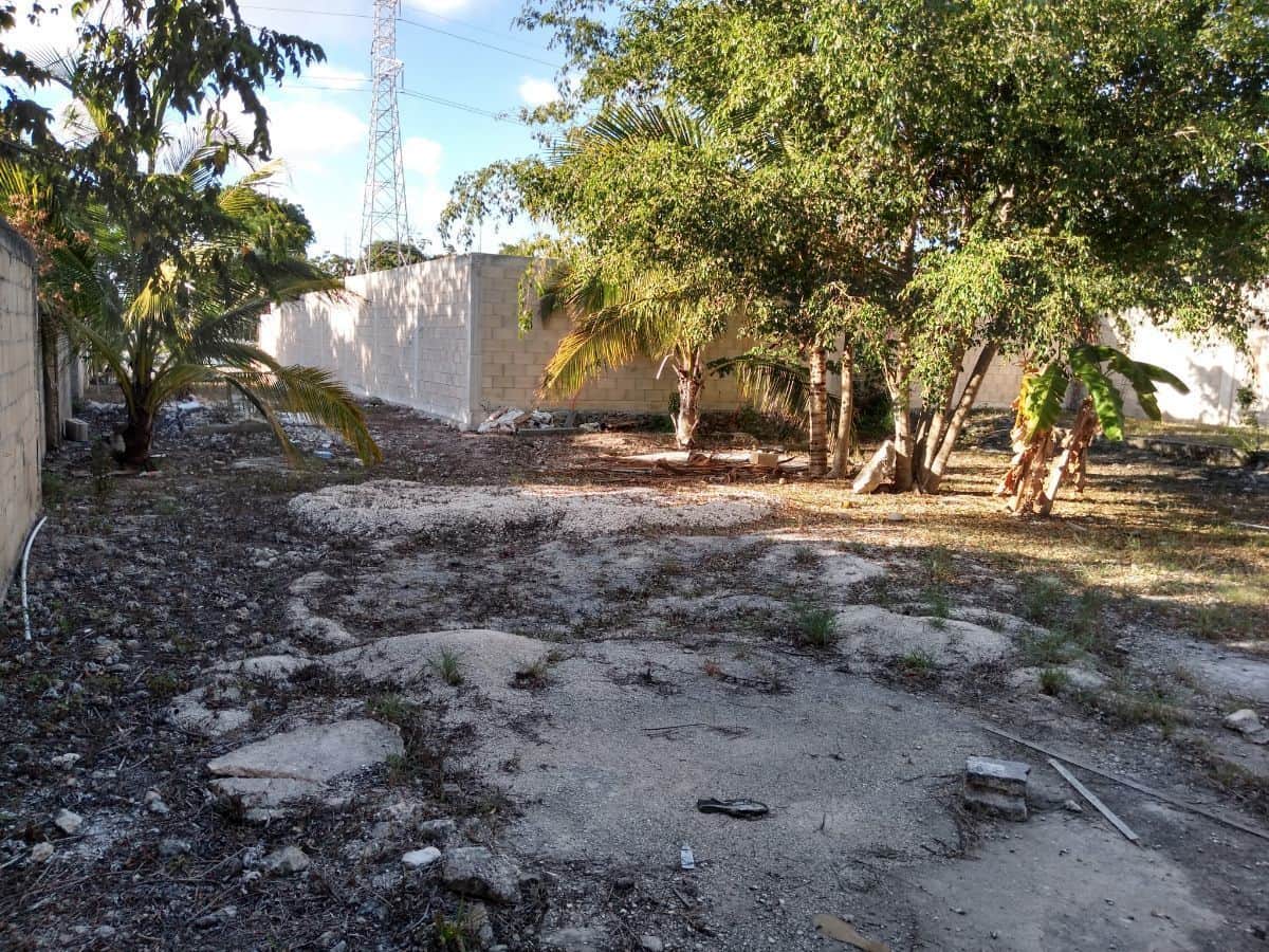 Dispuesto Ejido Bonfil a recuperar terrenos de invasiones