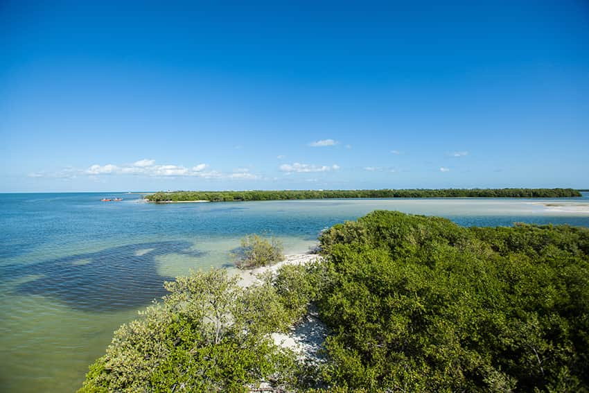 En Holbox, se amparó a dueños, pero no se quitó la protección ambiental: Ender