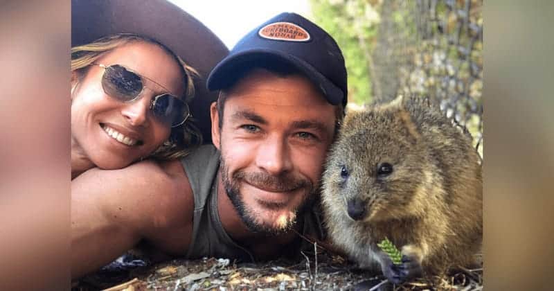 Video: Chris Hemsworth hace donación para combatir incendios en Australia