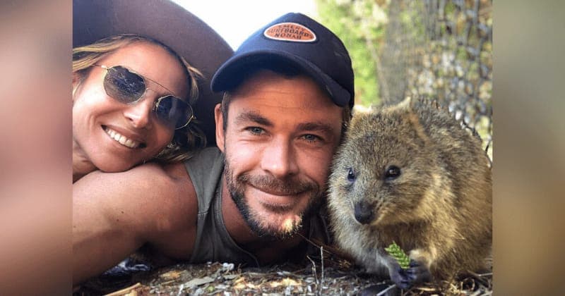 Video: Chris Hemsworth hace donación para combatir incendios en Australia