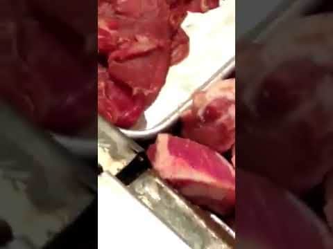 VIDEO: Encuentran ratas comiendo carne en supermercado