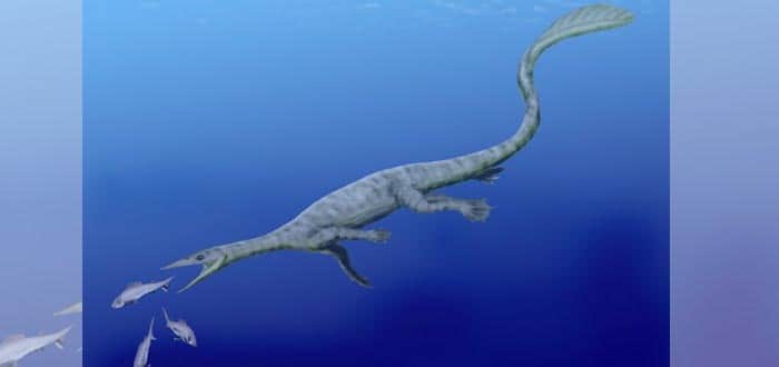 "Rara" especie de dinosaurio es identificada en Alaska