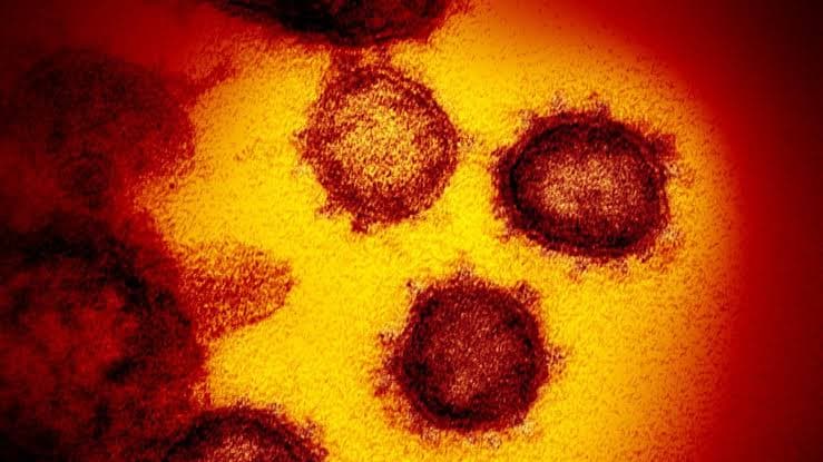 Descarta Quintana Roo dos casos sospechosos de coronavirus