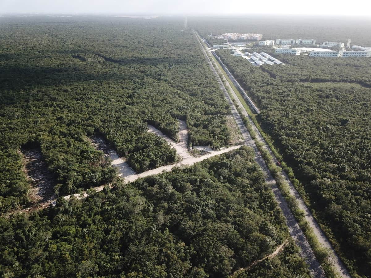 Proyecta ADO mover terminal de Cancún a Isla Mujeres