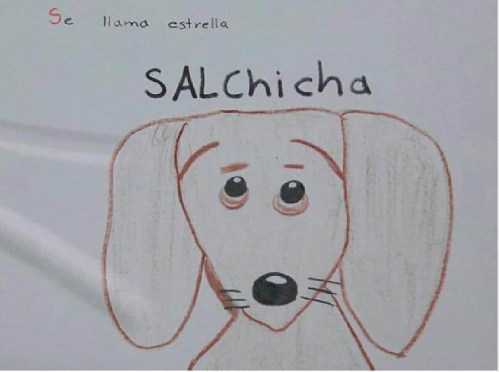 Niño dibuja carteles para buscar a su perrita perdida