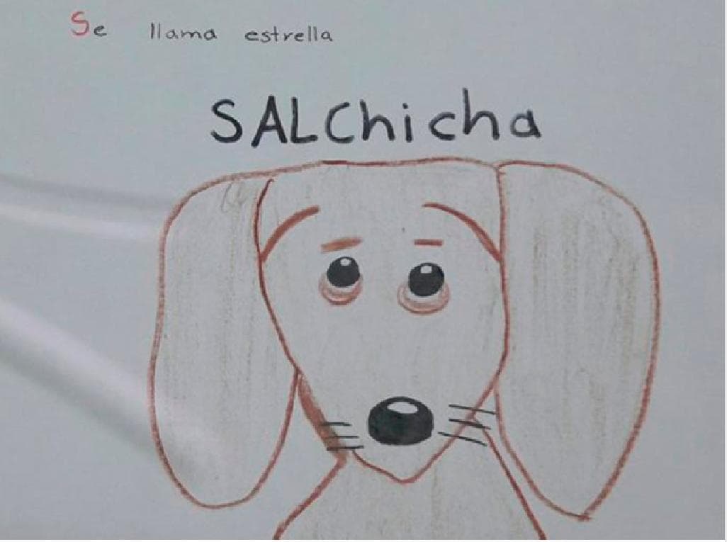 Niño dibuja carteles para buscar a su perrita perdida