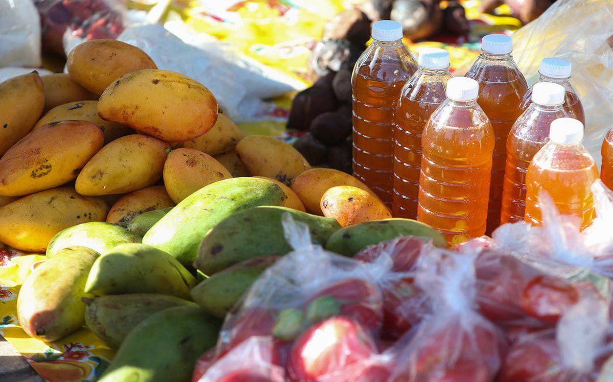 Puerto Morelos impulsa el campo para diversificar la economía local