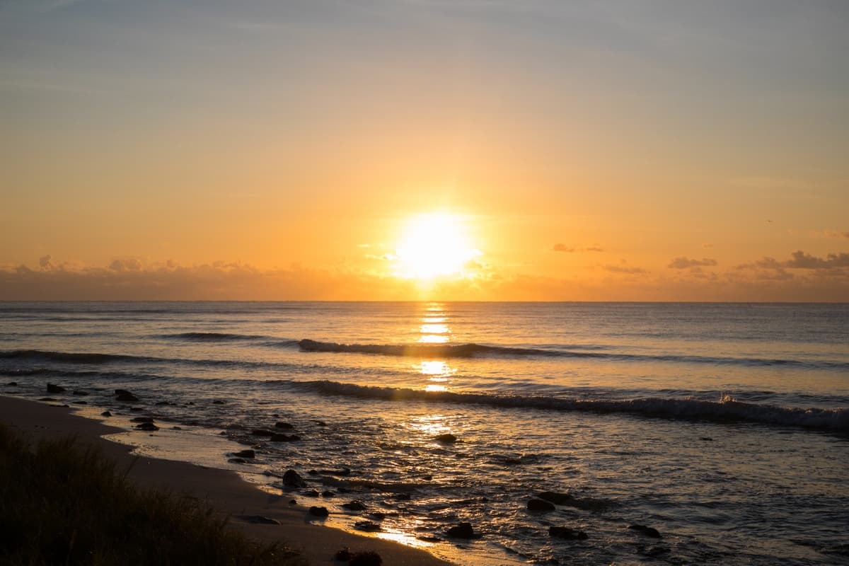 Presentan a hoteleros estrategias para contener el sargazo en Playa del Carmen