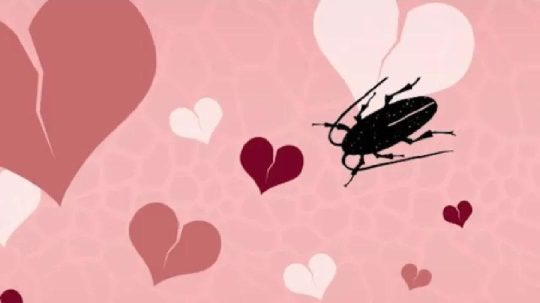 ¿Crees que tu ex es una cucaracha? Ya puedes ponerle su nombre a una