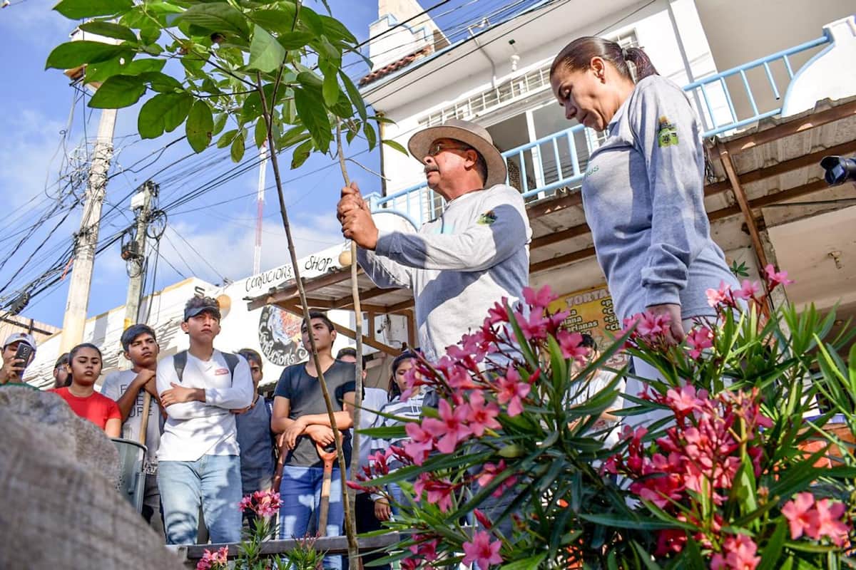 Estudiantes y ambientalistas siembran árboles endémicos para reforestar Tulum