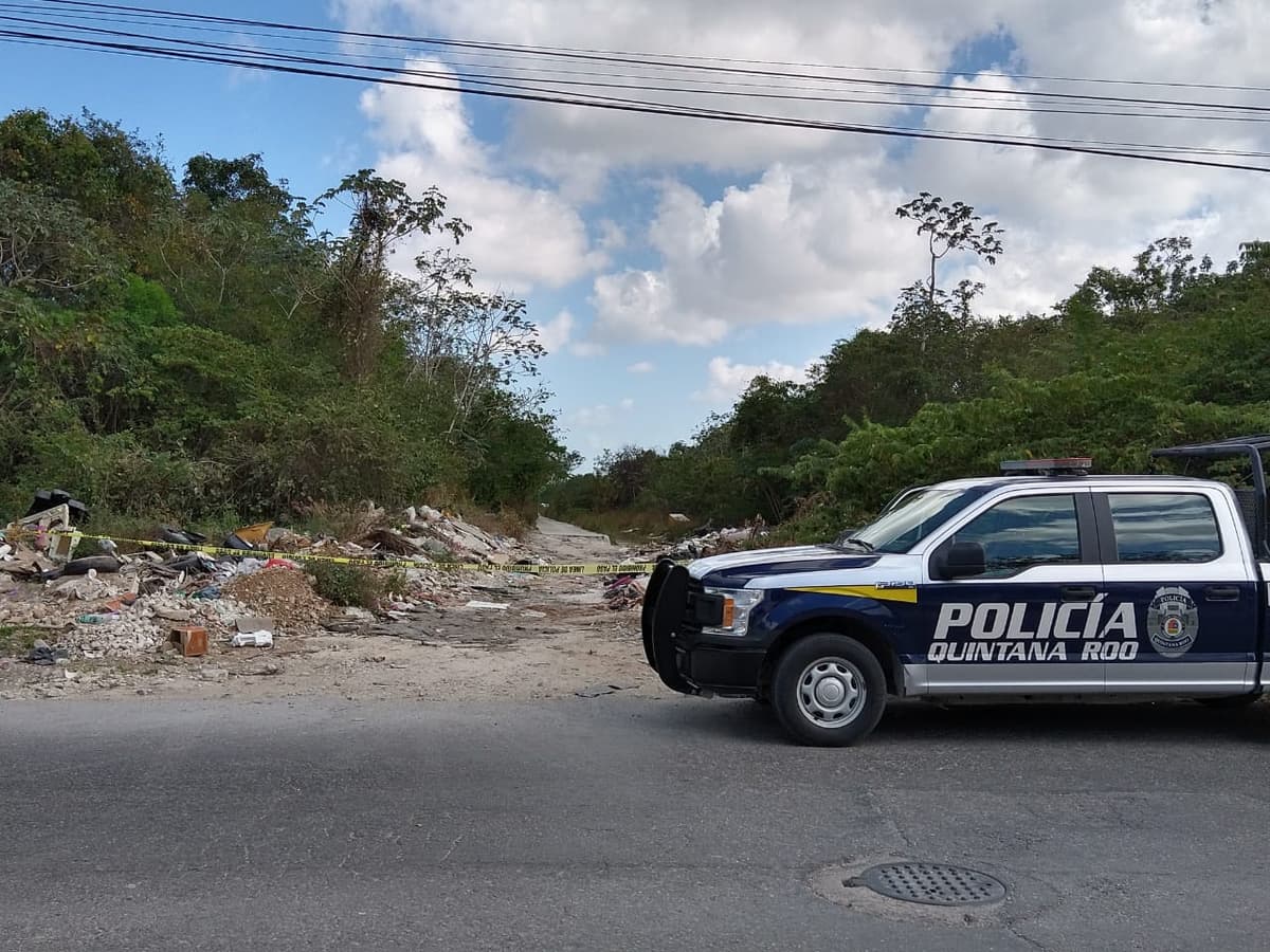 Encuentran persona sin vida entre la maleza en la Sm 252 de Cancún