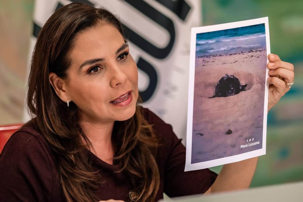 No estás solo y vamos a salir adelante juntos: Mara Lezama